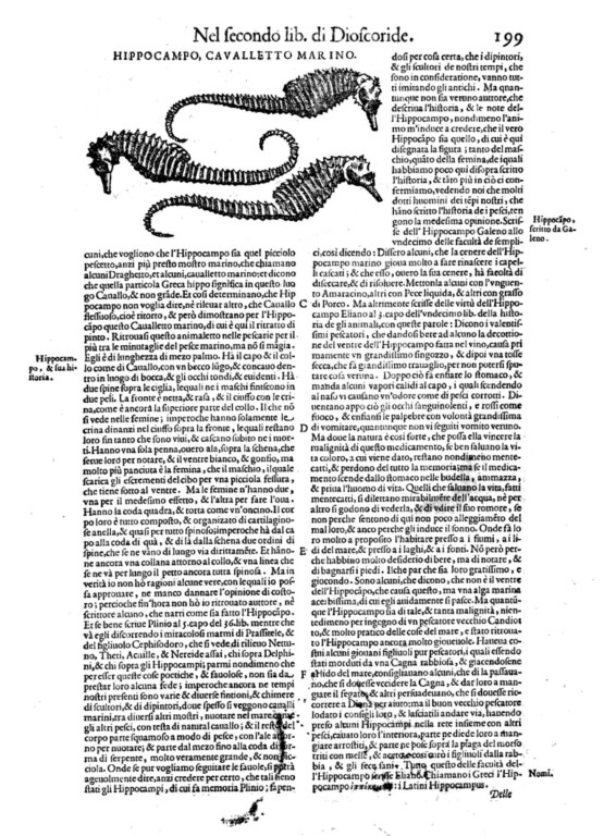 Pietro A. Mattioli. Discorsi [...] della materia Medicinale - Google Books