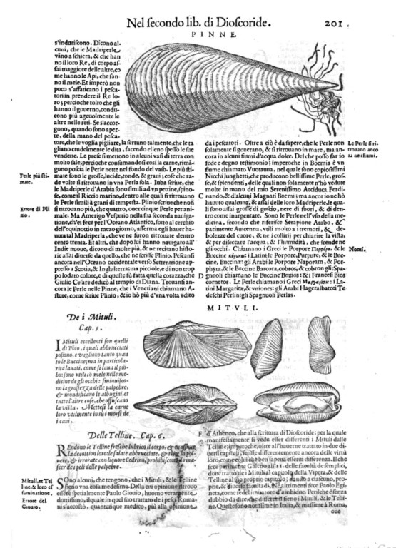 Pietro A. Mattioli. Discorsi [...] della materia Medicinale - Google Books