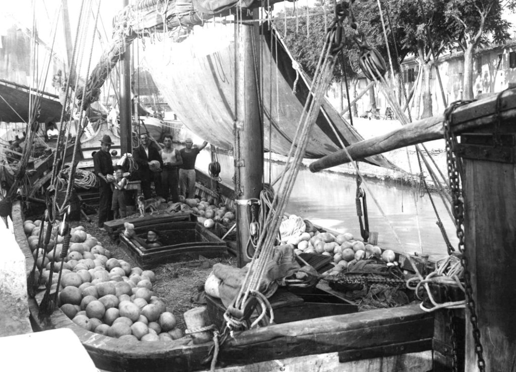 Barca carica di cocomeri - Gaetano Baviera