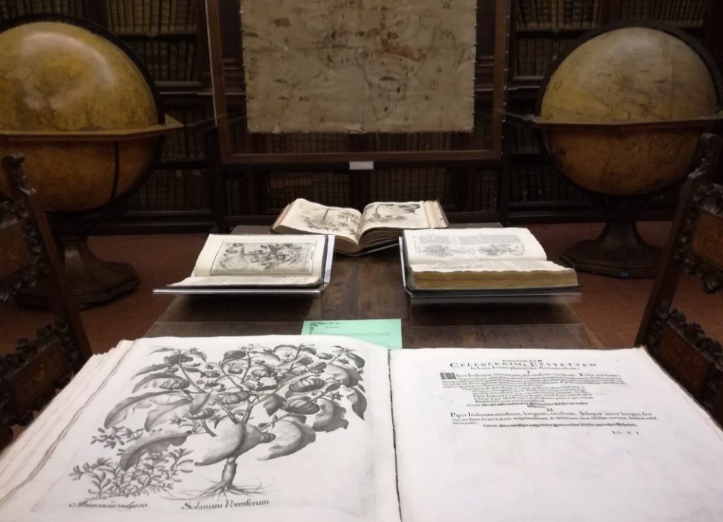 Manoscritti e libri antichi del Fondo Federici - Michele Tagliabracci