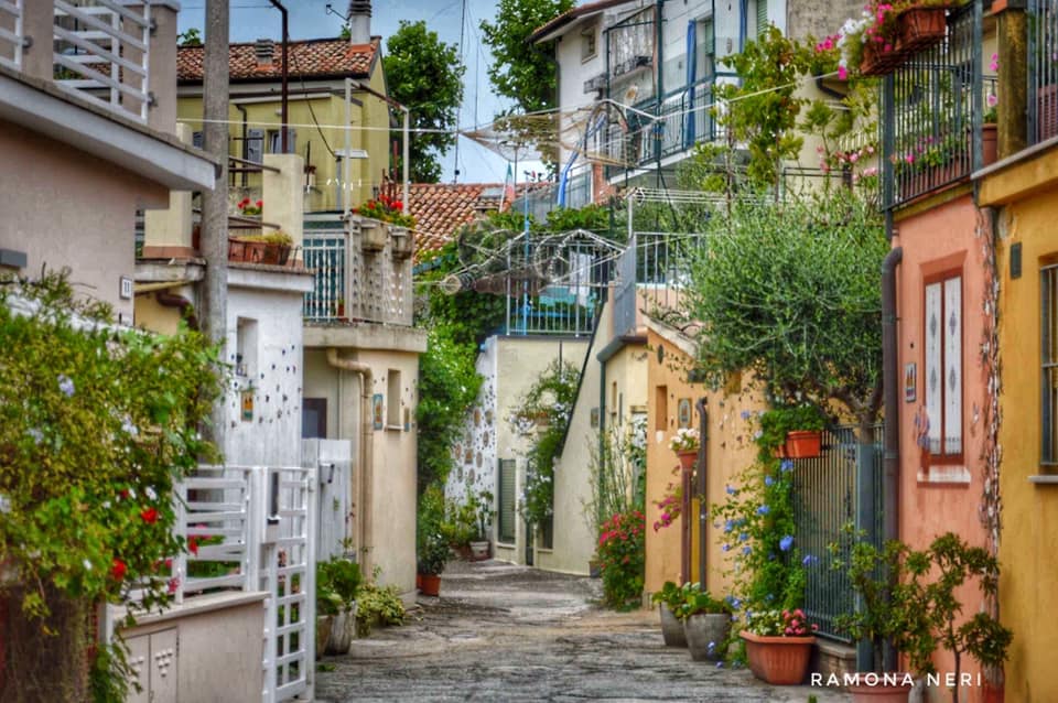 Veduta del gugul in fiore - Ramona Neri